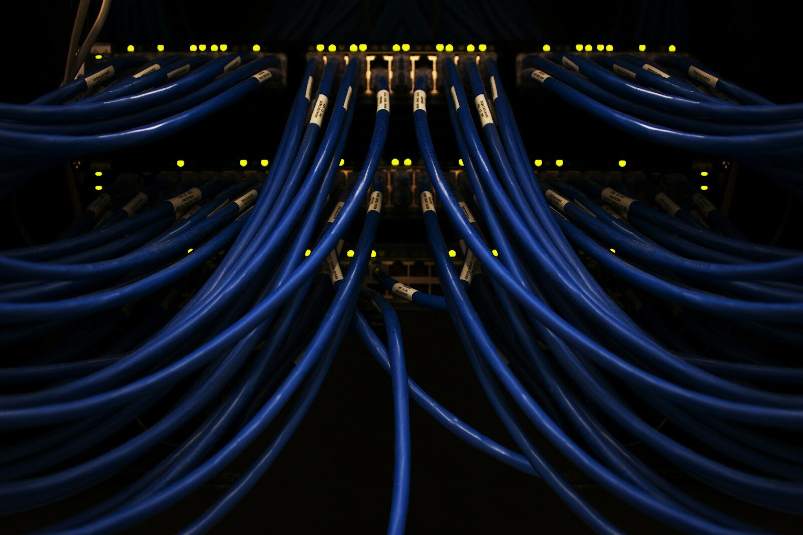 A bundle of blue network cables patched together at a connection panel