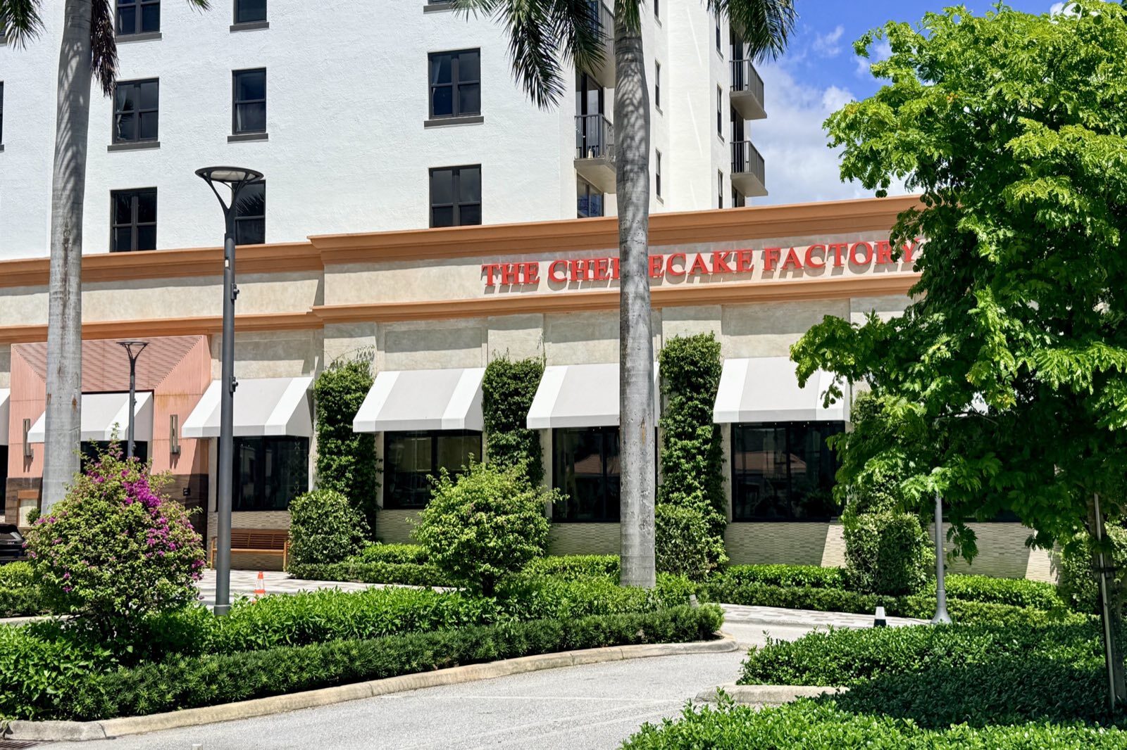The cream-coloured frontage of a Cheesecake Factory restaurant with red lettering and white awnings, behind palm trees, hedges and a flowering bougainvillea, below a white apartment building.