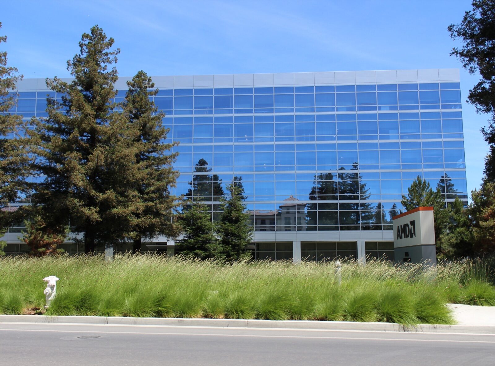 AMD's glass-fronted headquarters building on Augustine Drive in Santa Clara, California, behind tall pine trees and ornamental grass, with an AMD sign at the right.
