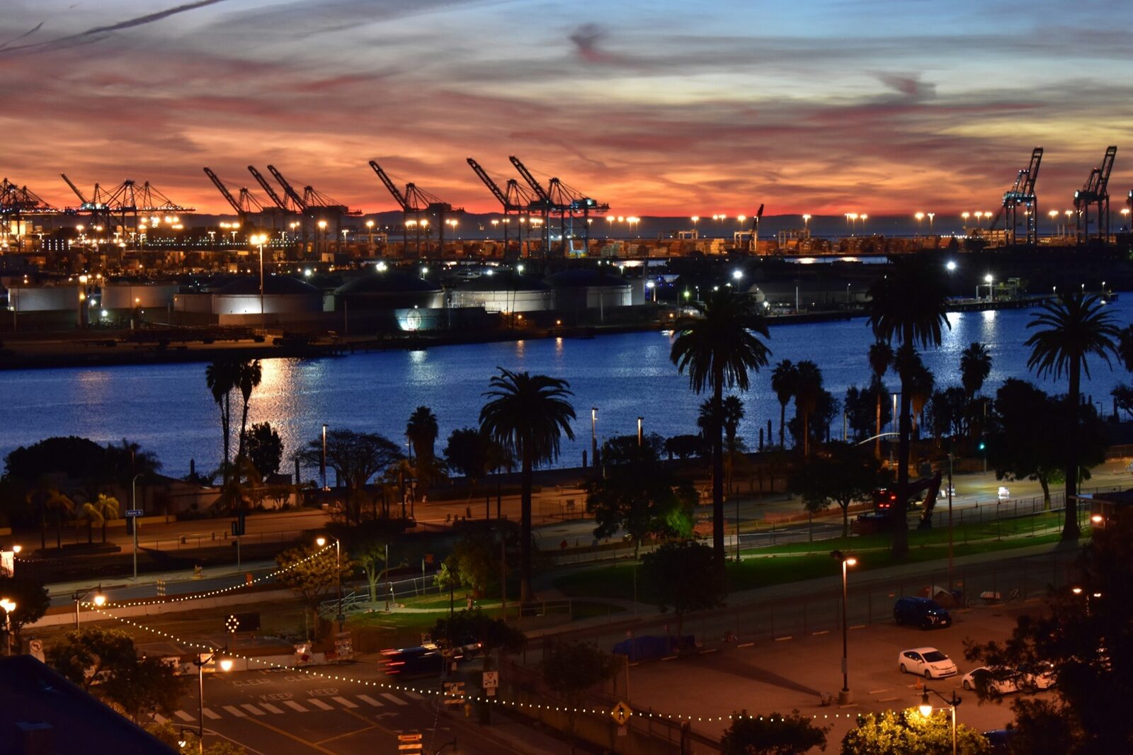 Container cranes lit up along the Port of Los Angeles waterfront at sunrise, seen across the water from San Pedro, with palm trees and a street in the foreground.