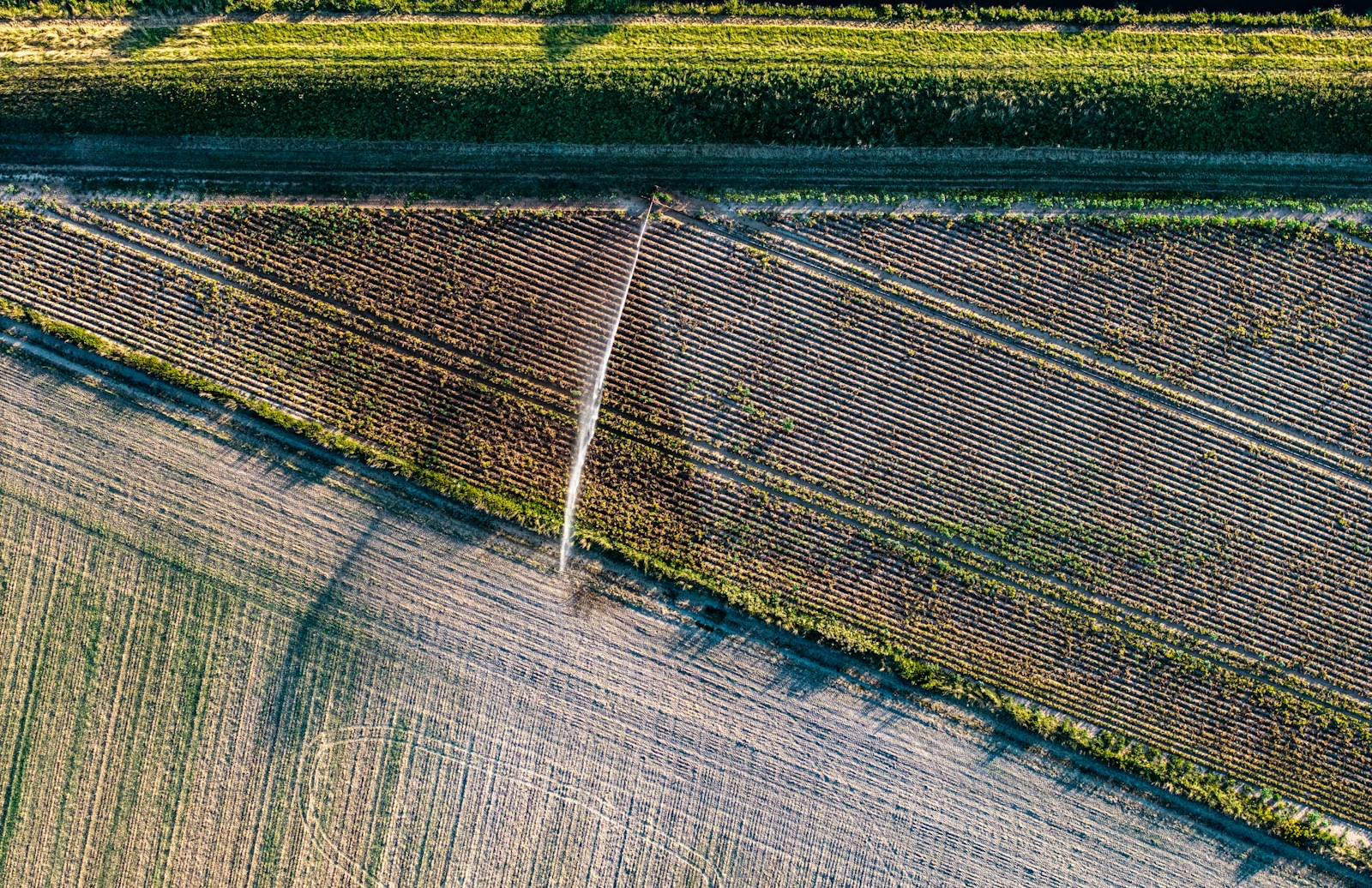 Aerial view of agricultural fields with an irrigation system