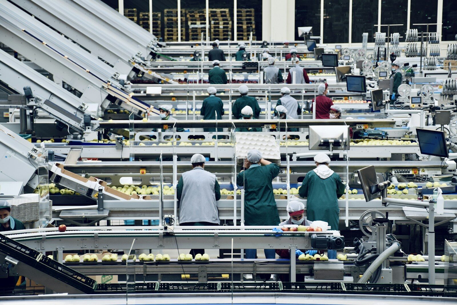A group of workers on a factory floor