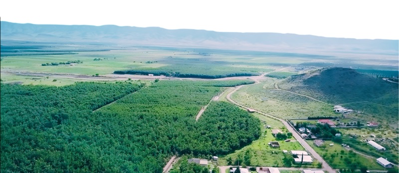An aerial view across a broad green valley in Chihuahua, with cultivated fields and scattered low buildings in the foreground and a long mountain ridge on the horizon.