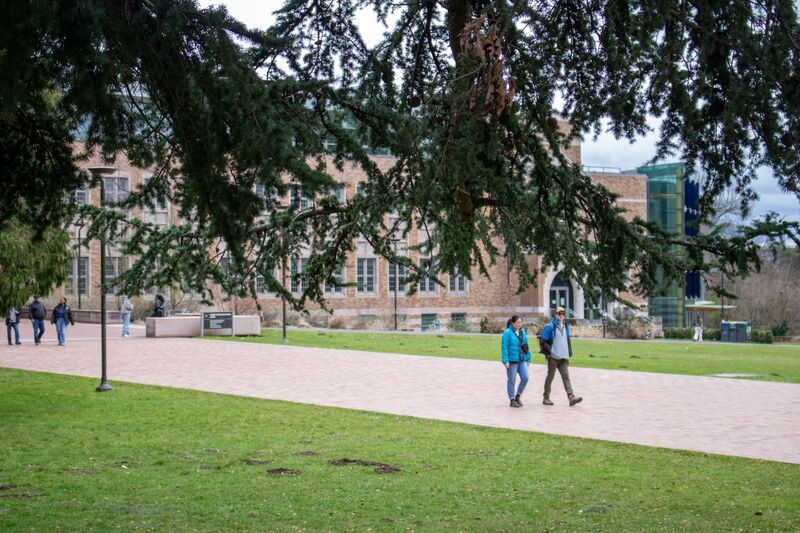 Students walking along a paved path past a brick campus building, framed by the branches of a large tree.