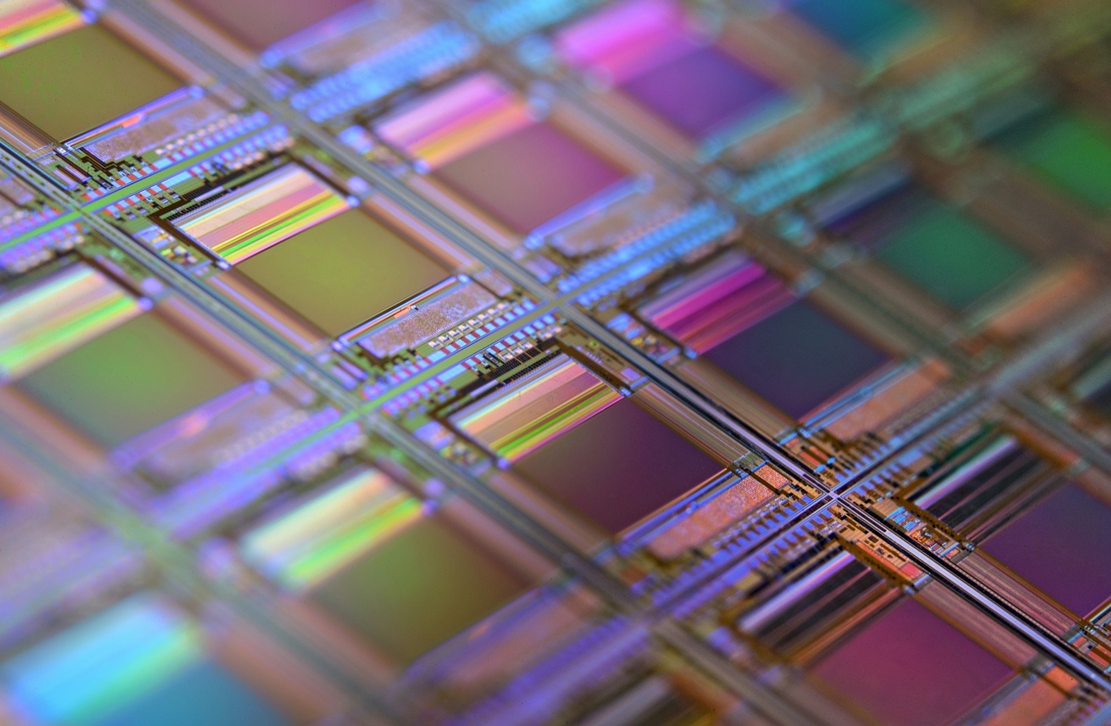 A close-up of a silicon wafer showing a grid of iridescent chip dies, in shallow focus.