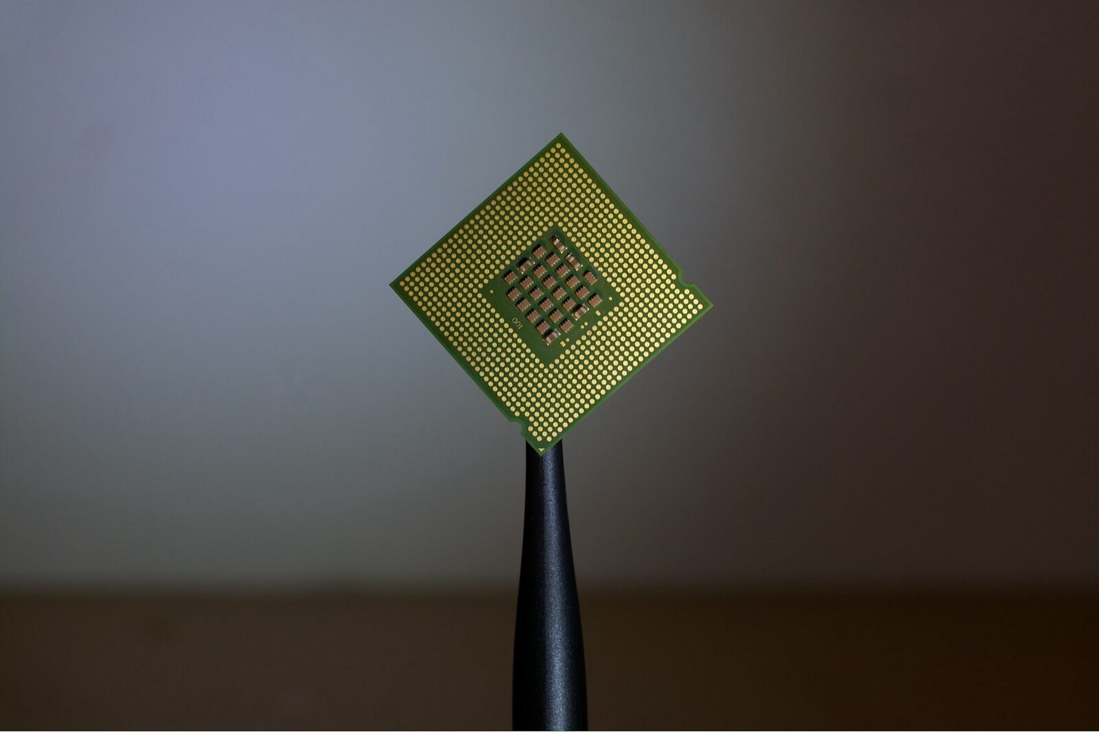 A computer processor held upright by black tweezers, its gold contact pads facing the camera, against a plain grey background.