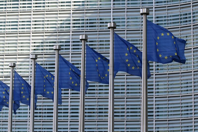 A row of European Union flags on poles, seen against a pale sky.