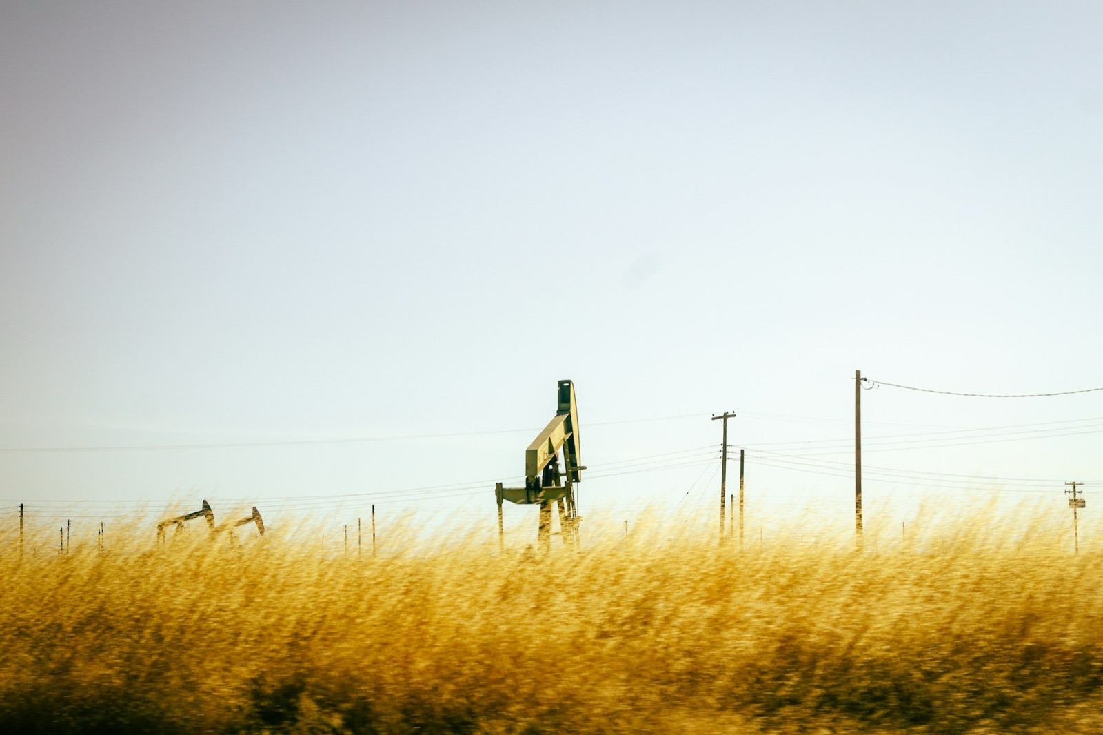 Oil pump jacks in a field of tall golden grass under a pale sky near Bakersfield, California.