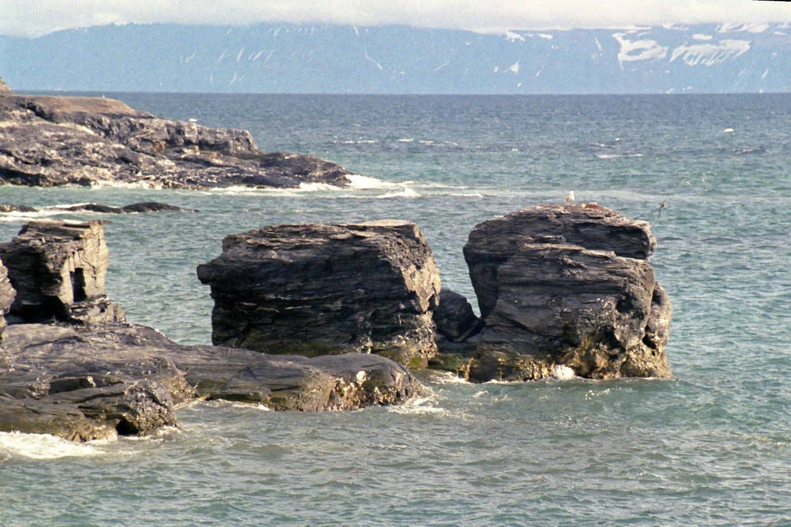A rocky Arctic shoreline with sea stacks, snow-streaked cliffs visible across the water beyond.
