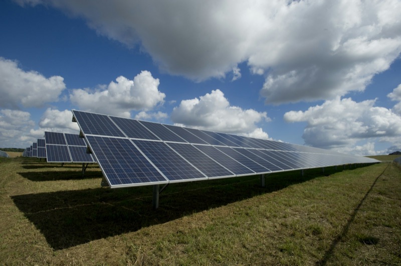 Rows of solar panels in a field.